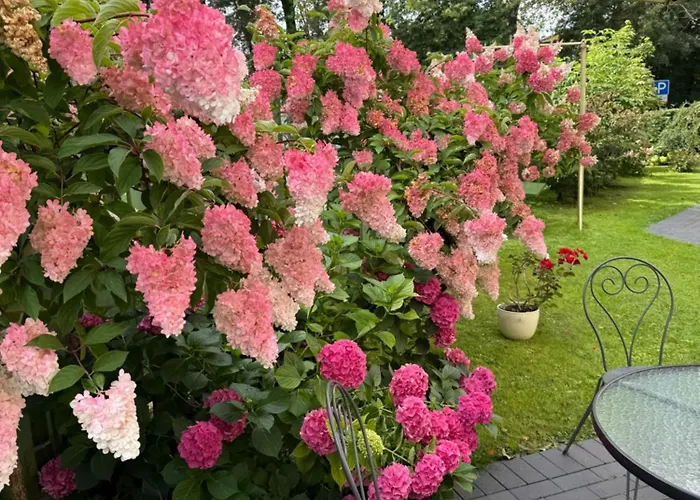 Rest In Appartement *